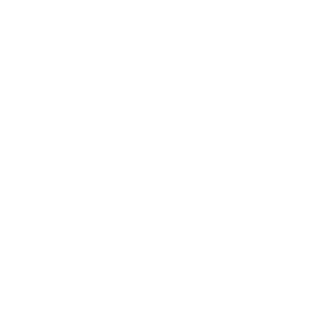 Parking Icon